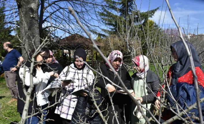 Bartın’da çiftçilere budama eğitimi, doğru verim alma yöntemleri anlatıldı