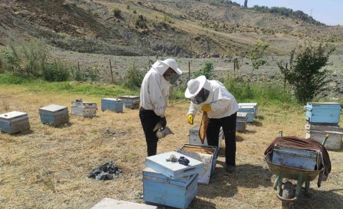 Batman’da arıcıların kovan bakımı ve arı ilaçlama mesaisi başladı