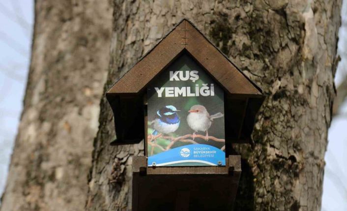 Büyükşehir’in kuş yemlikleri yürekleri ısıttı