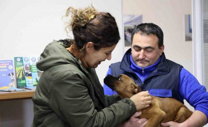 Depremzede aile ile depremzede köpeğin buluşma anı