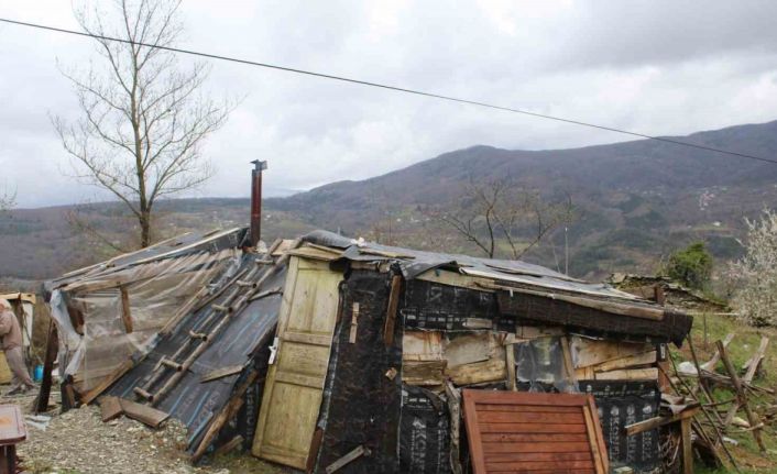 Derme çatma barakada yaşam mücadelesi veriyor