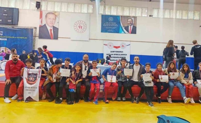 Diyarbakır’dan, Wushu Kung-Fu’da madalyalara ambargo