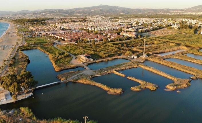 Doğaseverlerden Kocagöl için “Tabiat Parkı” statüsü talebi