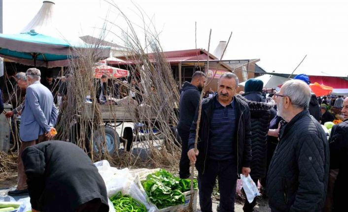 Erzincan’da meyve fidanı satışı başladı