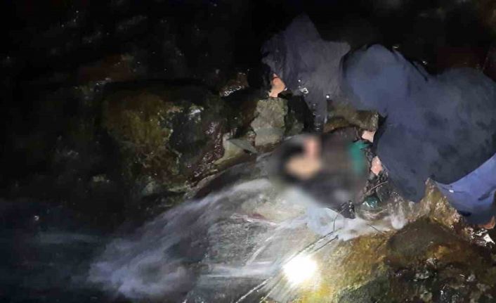 Hayvanlarının peşine giden çoban uçuruma yuvarlanarak hayatını kaybetti