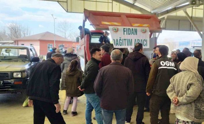 Hisarcık’ta 3 bin 500 fidan dağıtıldı