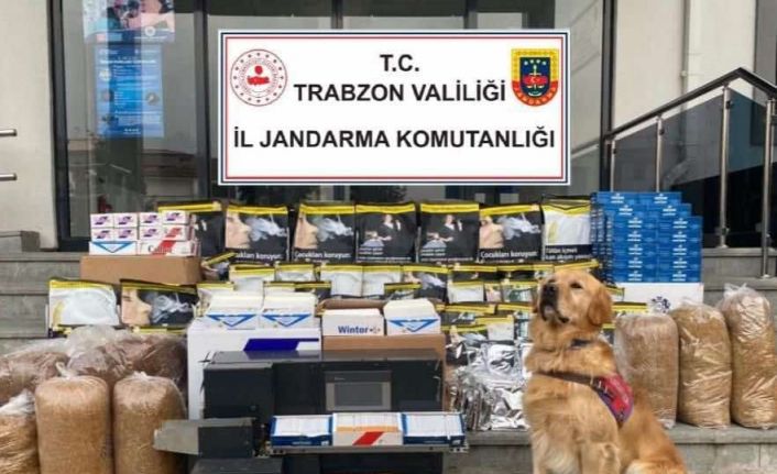 Jandarmadan kaçak sigara imalathanesine baskın