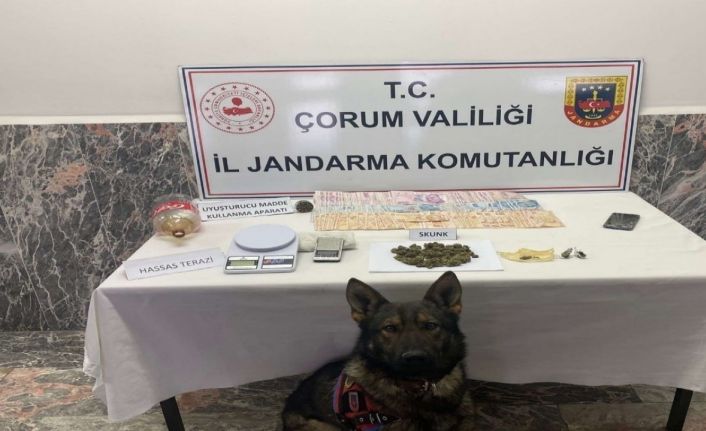 Jandarmadan uyuşturucu operasyonu