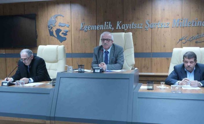 Karmil: "85 milyon tek vücut olduk"