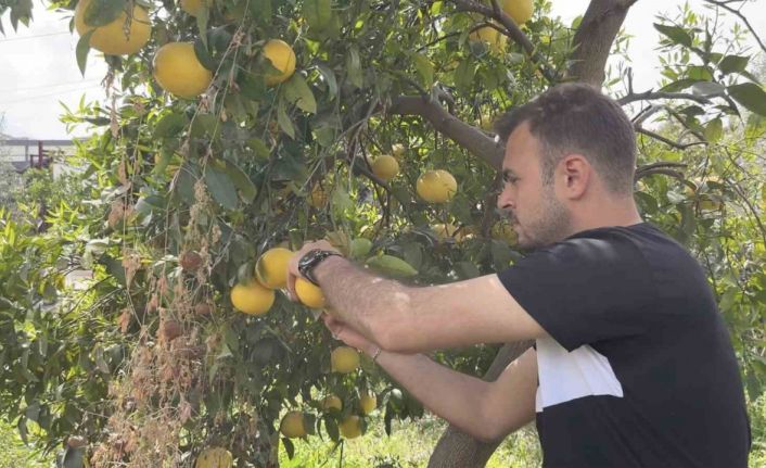 Küçükçekmece Belediyesi’nden Hatay’daki üreticilere destek