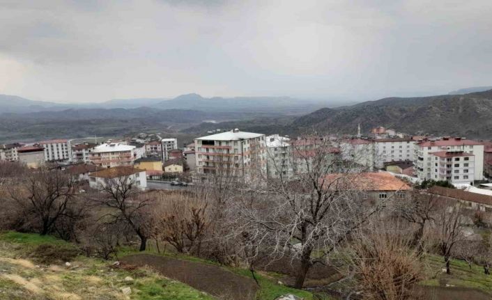 Kulp’ta yağmur çiftçinin yüzünü güldürdü