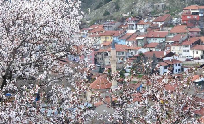 Kütahya’da badem ağaçlarının çiçek açması güzel görüntüler oluşturdu