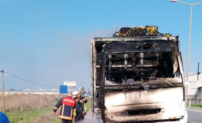 Limon yüklü kamyonda çıkan yangın maddi hasara neden oldu