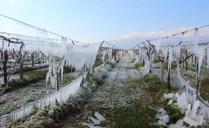 Manisa’ya kuvvetli yağış, fırtına ve don uyarısı