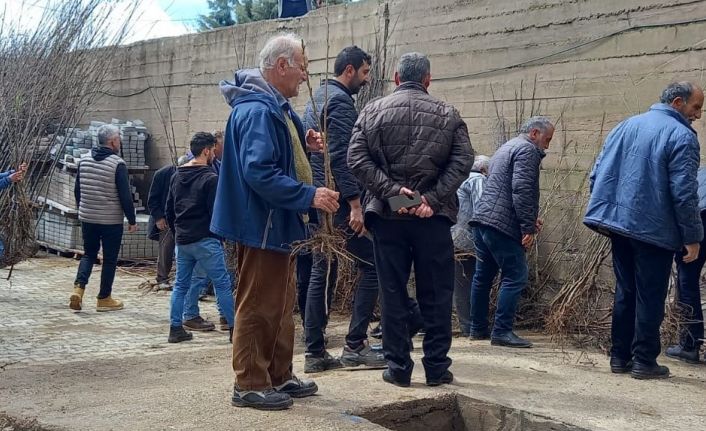 Memleketine her yıl binlerce fidan gönderiyor