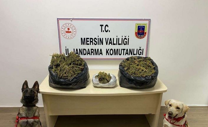 Mersin’de uyuşturucu operasyonu: 2 gözaltı