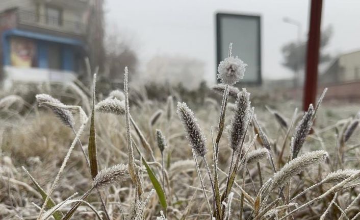 Meteorolojiden Diyarbakır için ‘zirai don’ uyarısı