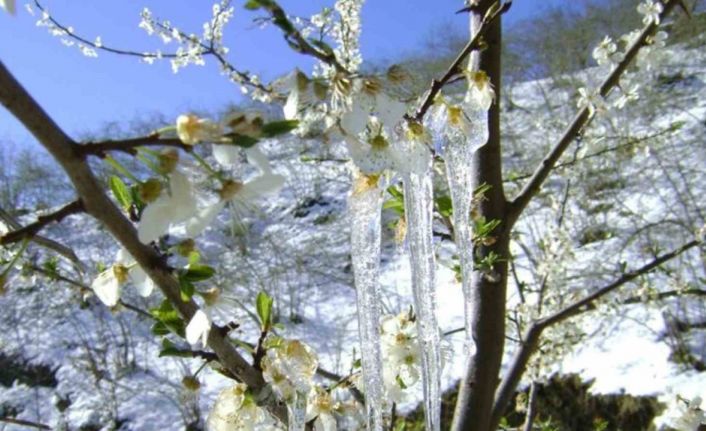 Meteorolojiden zirai don uyarısı