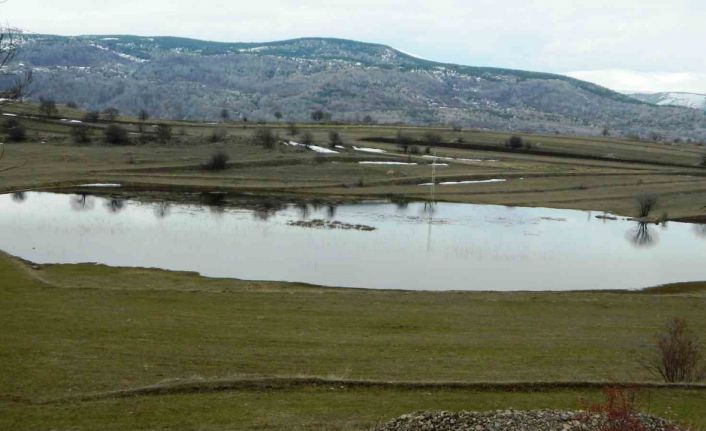 Posof’ta da buzlar çözülüyor