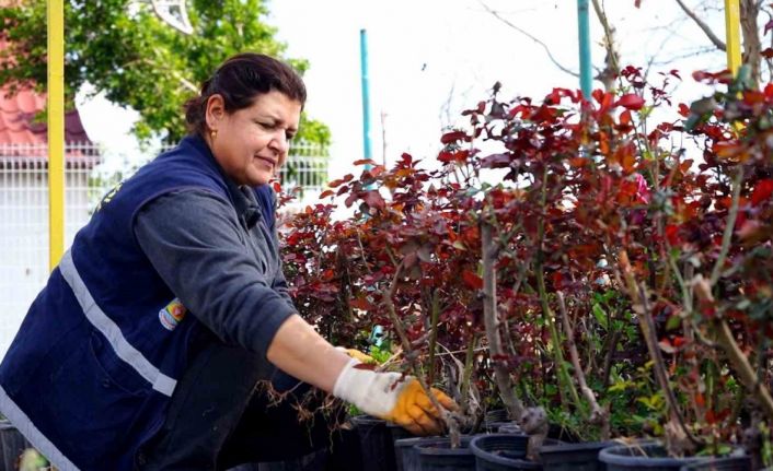 Tarsus Belediyesi üretiyor vatandaş faydalanıyor