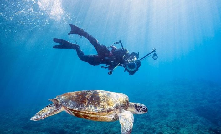 Tayvan’a gelen turistlere para ödenecek