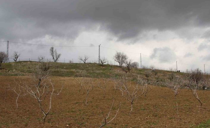 Uykuları kaçan çiftçinin yüzünü son günlerdeki yağışlar güldürdü