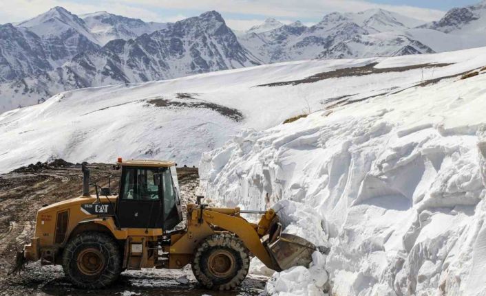 Van’da 5 metreyi bulan karda zorlu yol açma çalışması