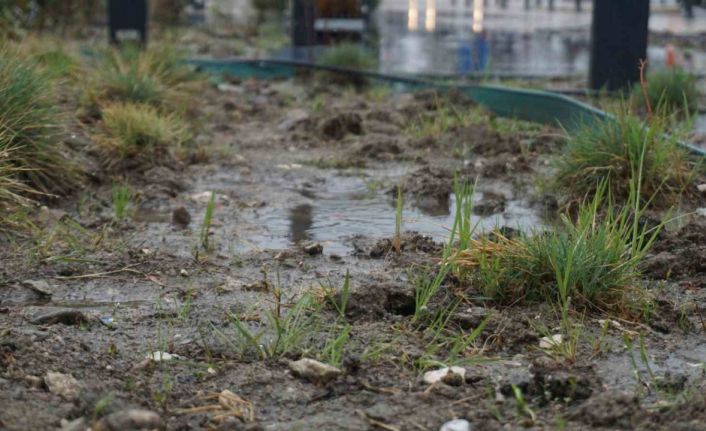 Yağmur toprağa can suyu, çiftçiye umut oldu