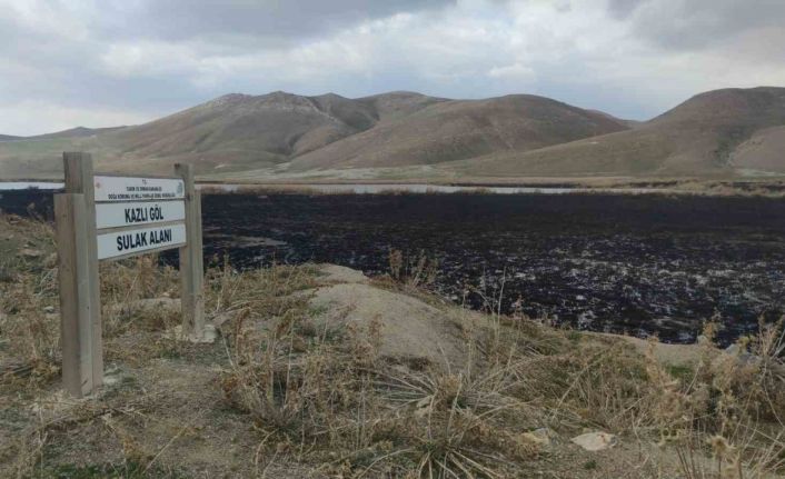 Birçok kuş türüne ev sahipliği yapan Kazlıgöl sazlığı yandı