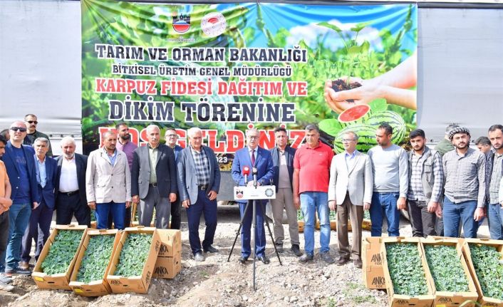 Diyarbakır’da 115 bin karpuz fidesi dağıtıldı