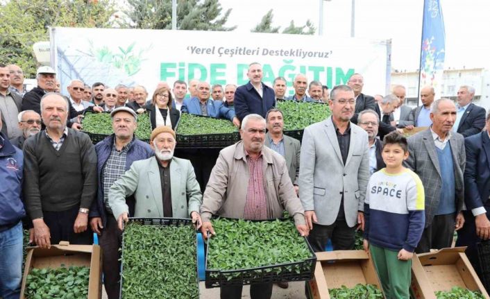 Gaziantep’te çiftçilere 2 milyon adet fide desteği