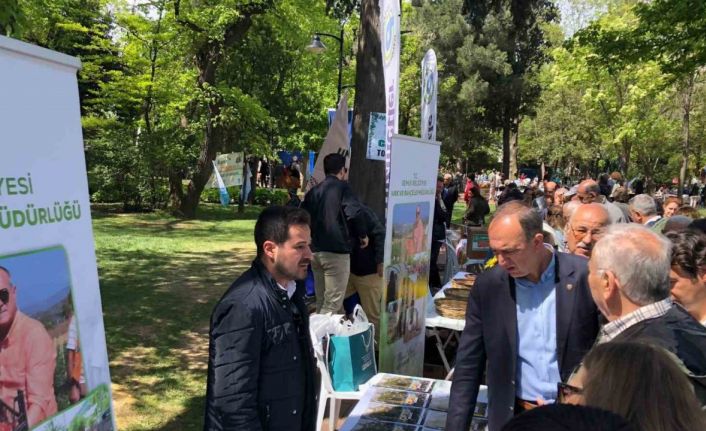 Gemlik’in tohumları Çanakkale’de