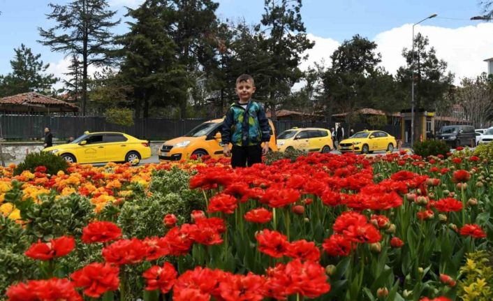 Isparta’da ilkbaharın renkli havası çiçeklere yansıyor