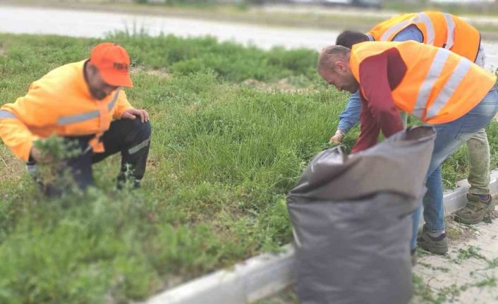 Karayolları çevresinde yabani ot temizliği