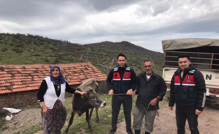 Kurbanlık hayvanı çalanları JASAT yakaladı