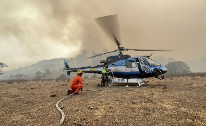 Meksika’da orman yangını: 1 ölü