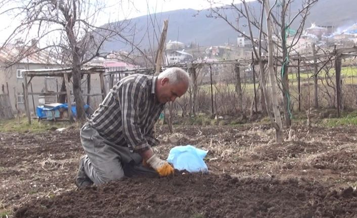 Muş’ta bahar hazırlıkları başladı