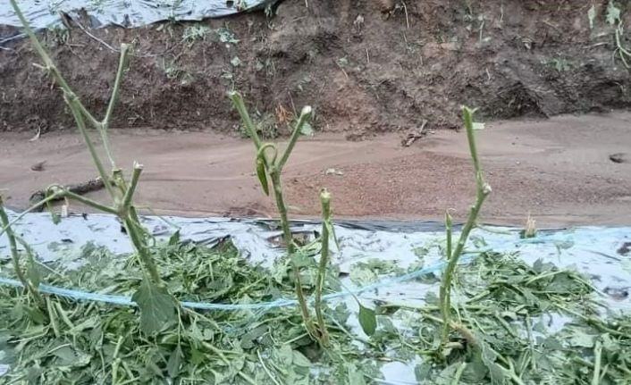 Tayland’da şiddetli fırtına ve dolu: 1 ölü