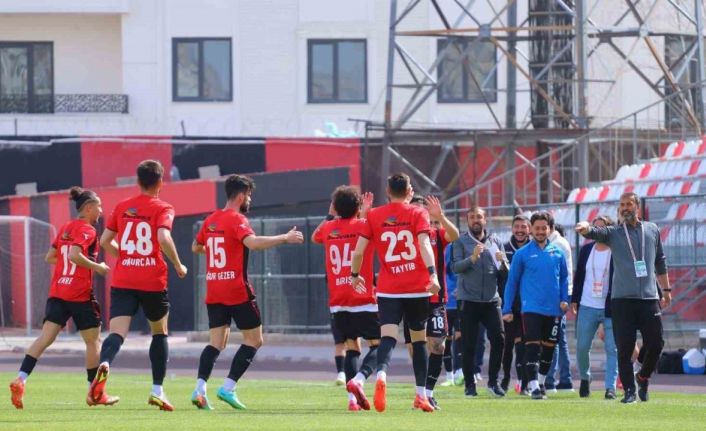 TFF 2. Lig: Vanspor FK: 2 - Serikspor: 2