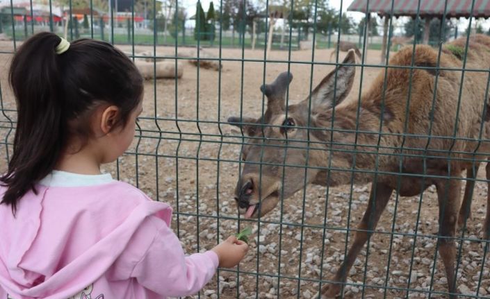 Vatandaşlar bayramda hayvanat bahçesine akın etti: 100 bin ziyaretçi