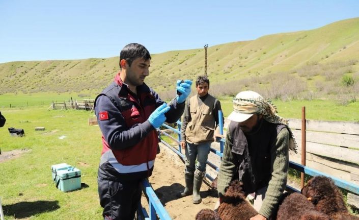 15 bine yakın aşı yapıldı