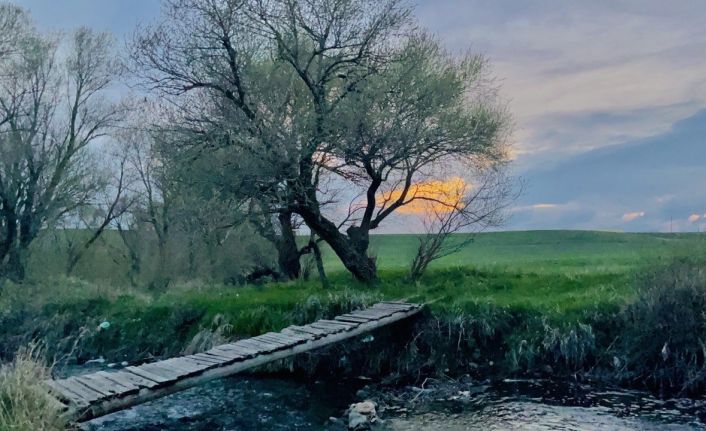 Ağrı baharla beraber renklere boyandı