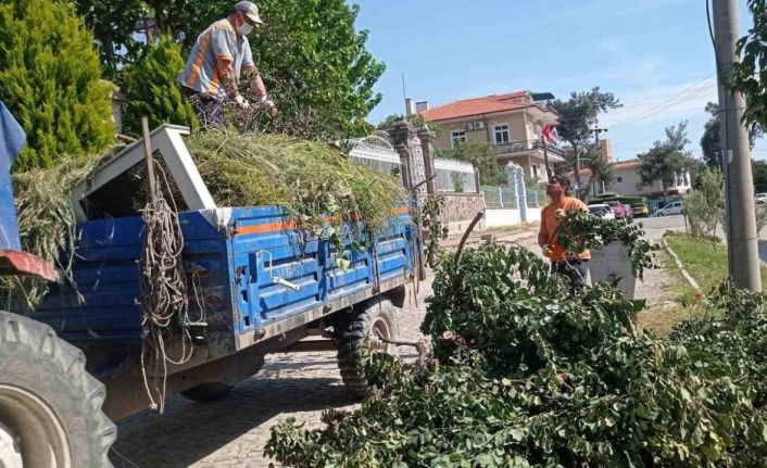 Ayvalık’ta sezon öncesi detaylı temizlik