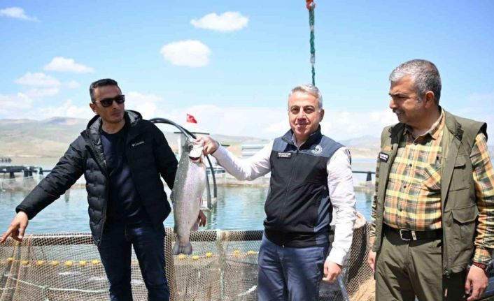 Denizi olmayan Kayseri’de Türk somonu hasadı başladı