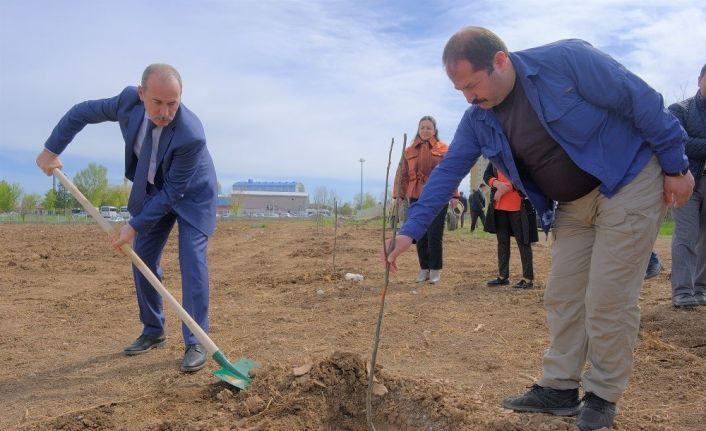 Dikilen fidanlardan elde edilen gelir öğrencilere burs olacak