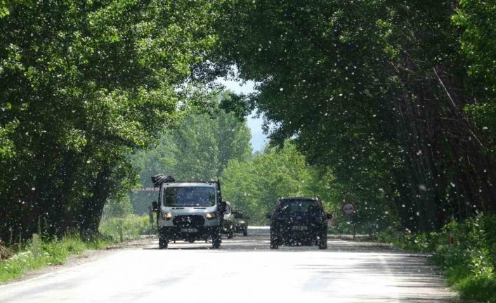 Doğal güzelliyle mest eden yol, sürücüler için tehlike saçıyor