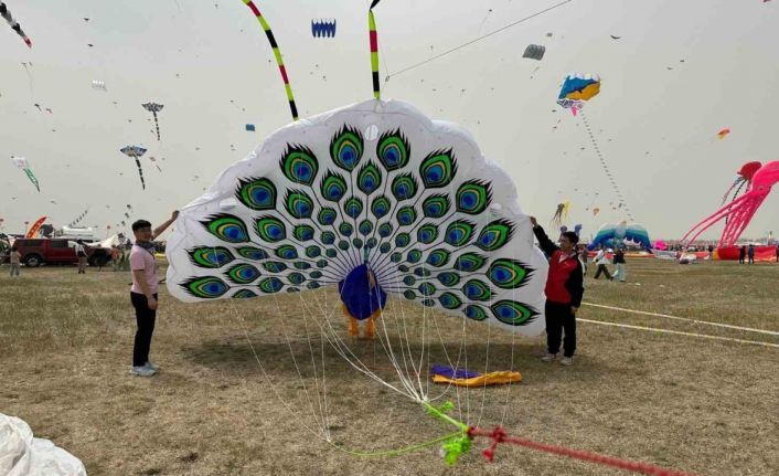 Doğduğu evi atölyeye çevirdi, hayallerinin peşinden giderek Çin’de madalya kazandı