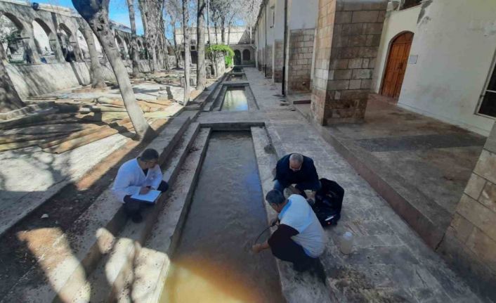 Elazığ Su Ürünleri Araştırma Enstitüsü, Balıklıgöl’de inceleme yaptı