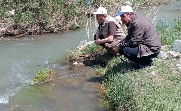 Elazığ’da Hazar İnci ve Siraz Balığı izleme  çalışması yapıldı