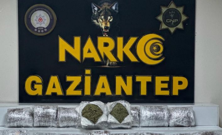 Gaziantep’te 24 kilo skunk ele geçirildi